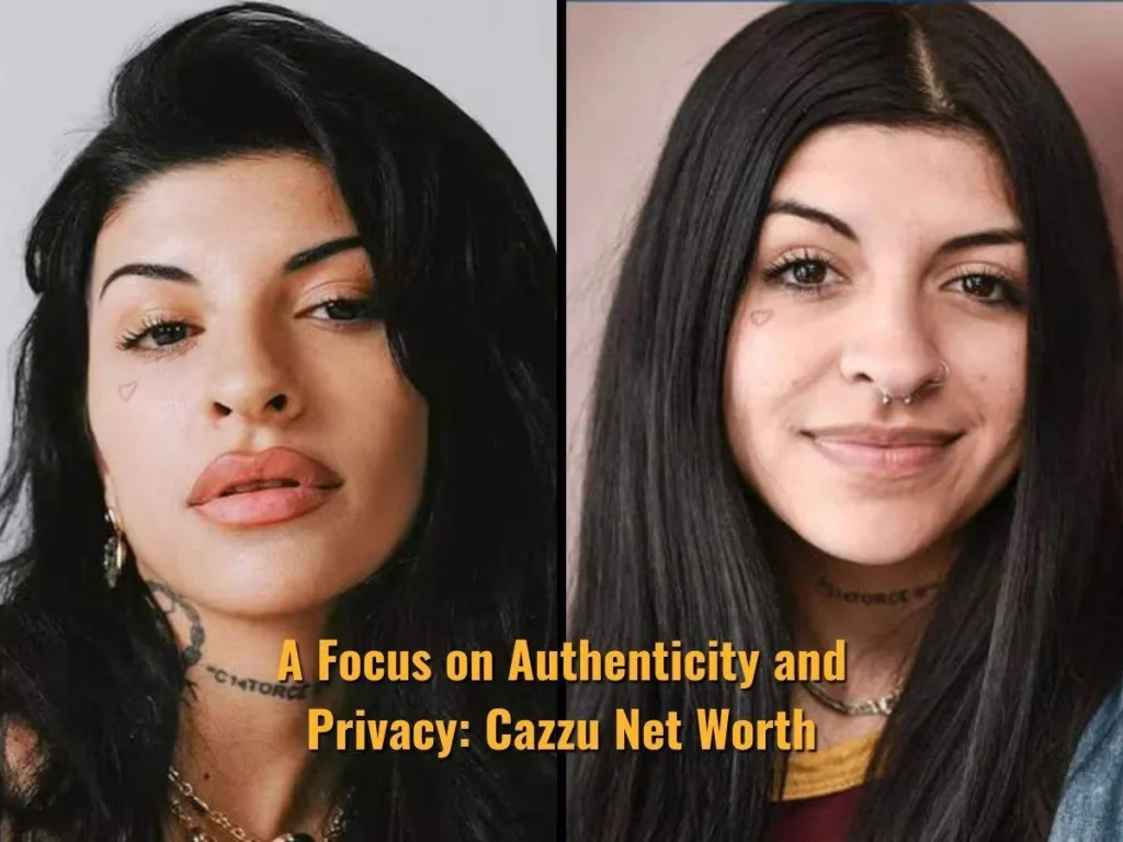 A Focus on Authenticity and Privacy