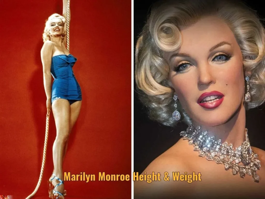 Marilyn Monroe Height & Weight