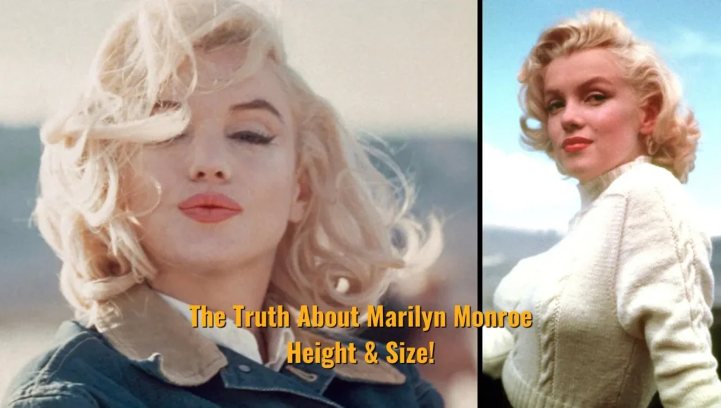 The Truth About Marilyn Monroe Height & Size!