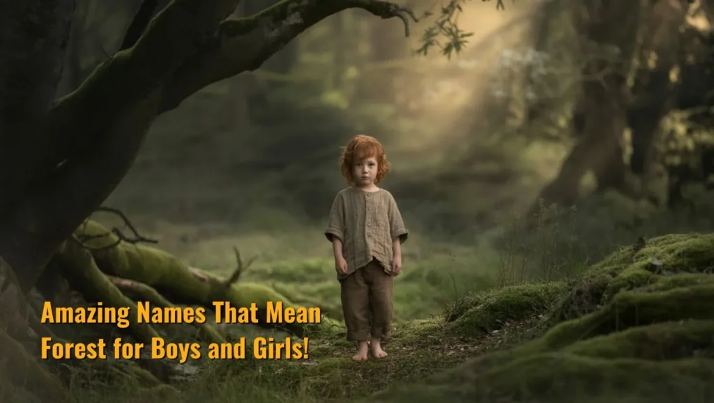 Amazing Names That Mean Forest for Boys and Girls!